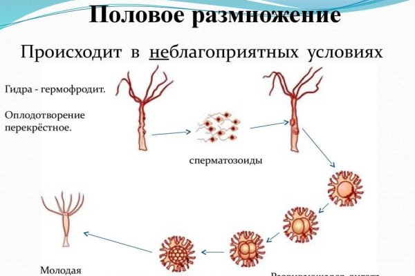 Кракен магазин kraken clear com