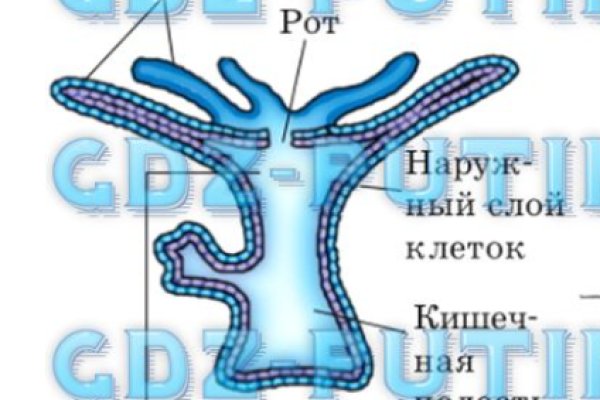 Как найти кракен шоп