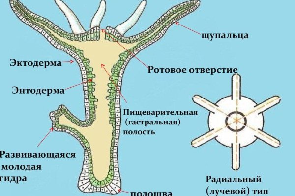 Кракен наркошоп сайт