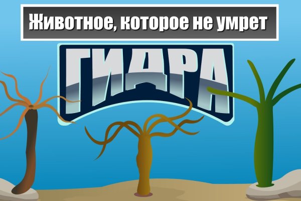 Kra44.cc Вход на сайт главная страница