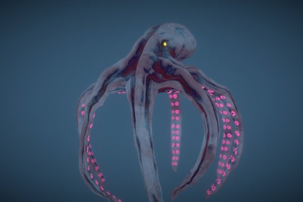 Kraken 17 at net
