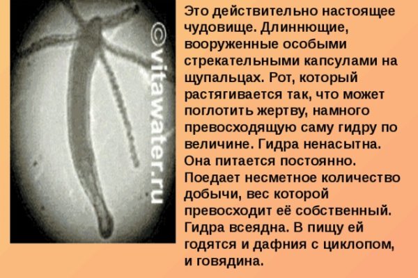 Кракен не грузит