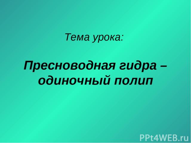 Оригинальный сайт кракен