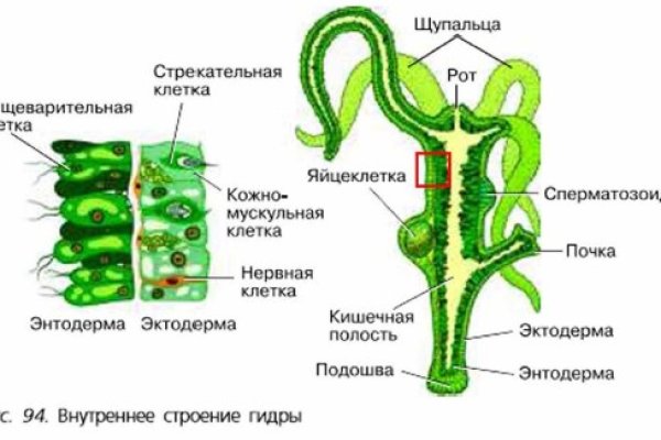 Kraken darknet зеркала кракен обход
