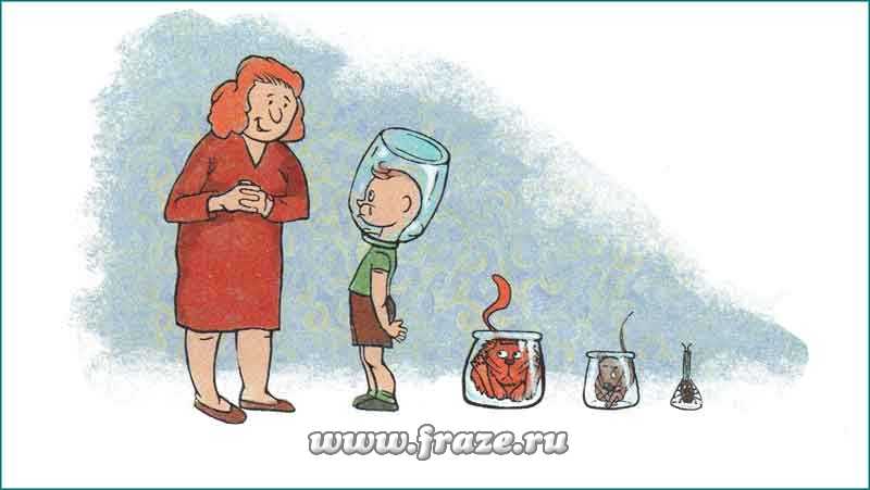 Не могу зайти в кракен